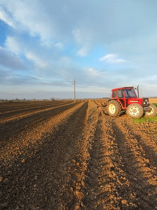 Field ploughing with tractor
