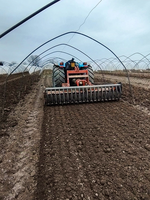 Soil preparation inside tunnel frame structures being set up