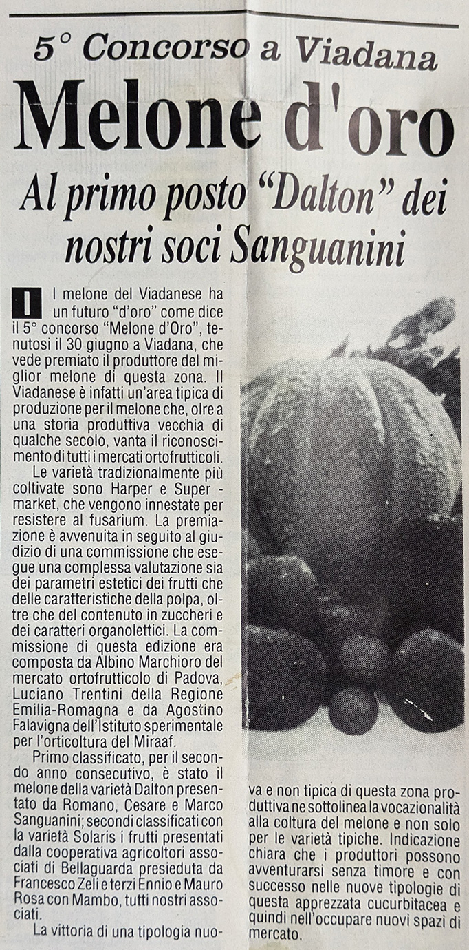 Articolo Melone d'Oro - Terra Mantovana