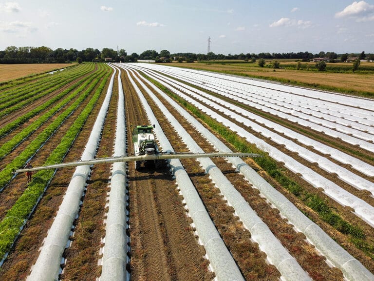 Macchina agricola con barra irroratrice in azione su un campo coltivato con serre tunnel