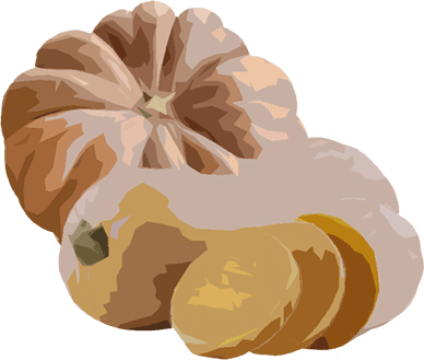 Zucca tipica Mantovana: violina (butternut), delica e moscata